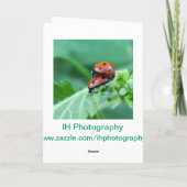 レディバグカップル – 幸運カード カード (裏面)