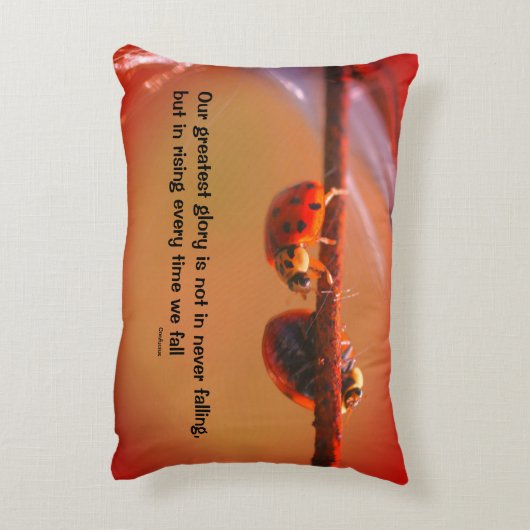 レディバグス・アトチ感動的ュピウス・引用文  アクセントクッション (裏面(縦))