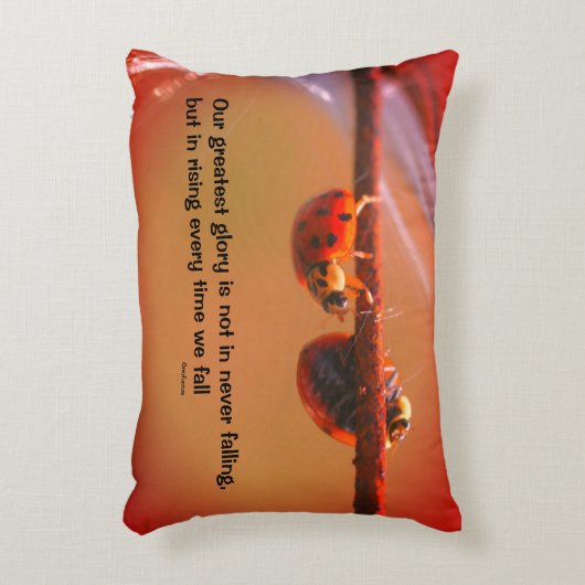 レディバグス・アトチ感動的ュピウス・引用文 アクセントクッション (正面(垂直))