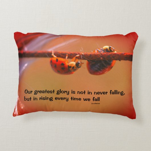 レディバグス・アトチ感動的ュピウス・引用文  アクセントクッション (裏面)