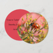 レディバグパーティーのご招待 招待状 (正面/裏面)