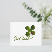 レディバグ ドット ビートル オフィス カスタム デスティニー デスティニーズ ポストカード (スタンド正面)