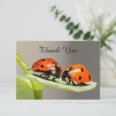 レディバグ ビート品亮か お礼カード サンキューカード (スタンド正面)