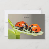 レディバグ ビート品亮か お礼カード サンキューカード (裏面)