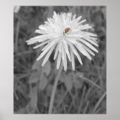 レディバグ ポスター (正面)