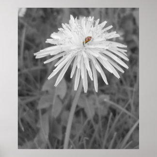 レディバグ ポスター