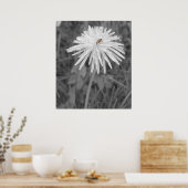 レディバグ ポスター (キッチン)