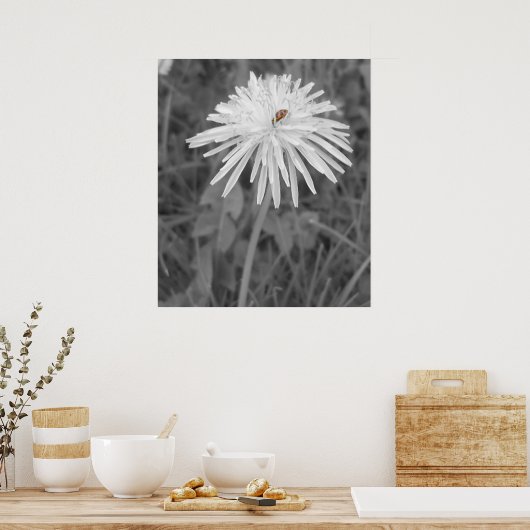 レディバグ ポスター (キッチン)