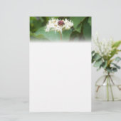 レディバグ 便箋 (スタンド正面)