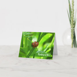 レディバグ - 思いのカード カード