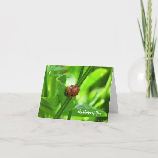 レディバグ - 思いのカード カード (正面)