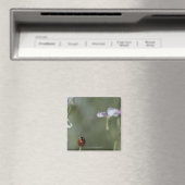 レディバグon Stem マグネット (インサイチュ (食洗機))