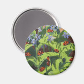 レディバード2013 マグネット (正面/裏面)