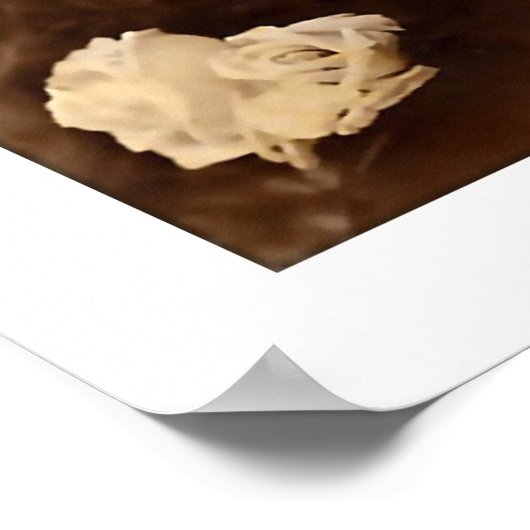 レディビクトリアンー、長いヘアプロファイル ポスター (角)