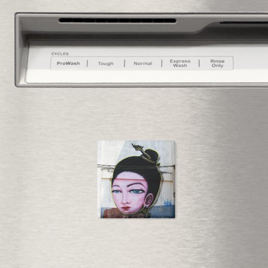 レディラオグラフィティ通りアート マグネット (インサイチュ (食洗機))