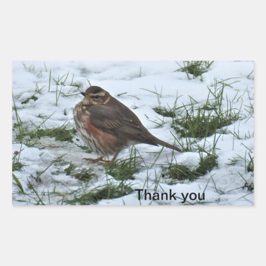 レディング 長方形シール (正面)