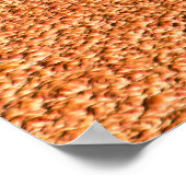 レディーとライオン ポスター (角)