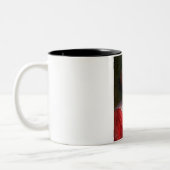 レディーのポートレート(Elin Danielson-Gambogi) ツートーンマグカップ (左)