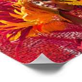 レディーアットザカーニバル ポスター (角)