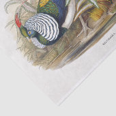 レディーアマーストのキジの切り離し 薄葉紙 (詳細)