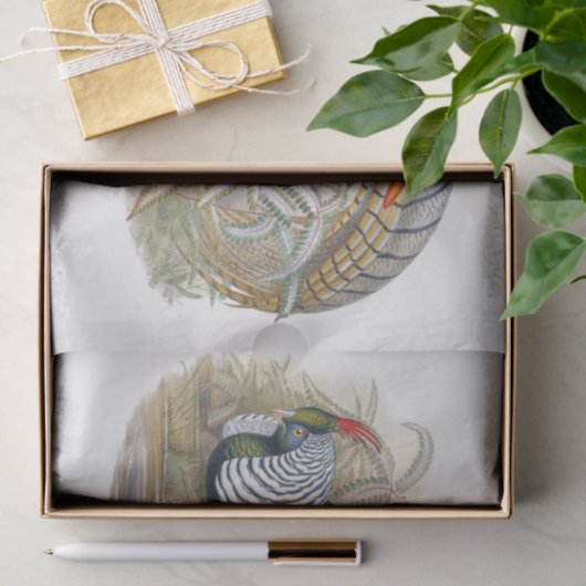 レディーアマーストのキジの切り離し 薄葉紙 (ギフト)