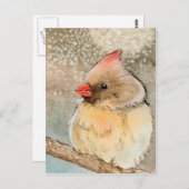 レディーウィンター（鳥）ショウジョウコウカンチョウ ポストカード (正面/裏面)