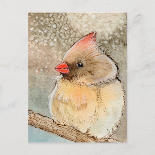 レディーウィンター（鳥）ショウジョウコウカンチョウ ポストカード (正面)