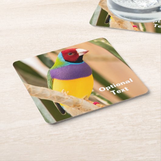 レディーグールディアンフィンチ スクエアペーパーコースター (アングル)