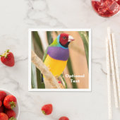 レディーグールディアンフィンチ スタンダードカクテルナプキン (インサイチュ)