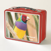 レディーグールディアンフィンチ メタルランチボックス (裏面)