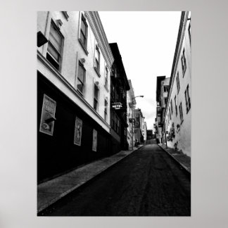 レディースかわいらしアリー ポスター