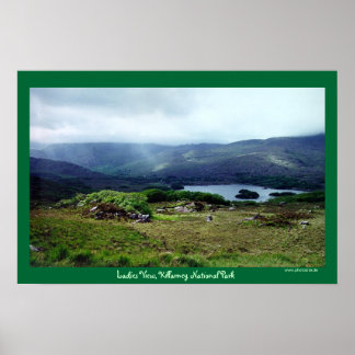 レディースビュー（スモールバージョン） ポスター