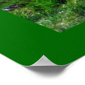 レディースビュー ポスター (角)