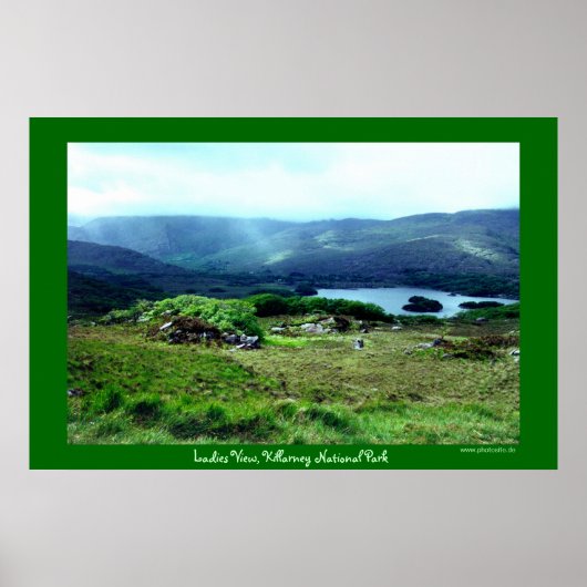 レディースビュー ポスター (正面)