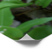 レディースリッパのポスター ポスター (角)