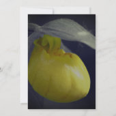 レディースリッパフローラパーティー 招待状 (裏面)