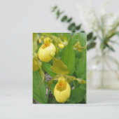 レディースリッパ ポストカード (スタンド正面)