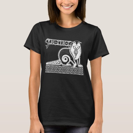 レディース ダークシャツ Tシャツ (正面)