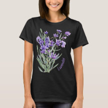 レディース ベーシック Tシャツ