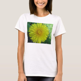 レディースTシャツ – Dandelion Tシャツ