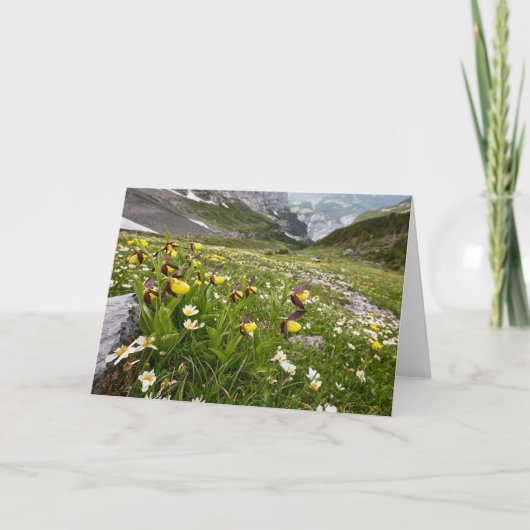 レディーズスリッパの蘭 – グリーティングカード (正面)