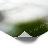 レディーズスリッパ#8299プリント ポスター (角)