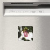 レディーズスリッパ#8299マグネット マグネット (インサイチュ (食洗機))