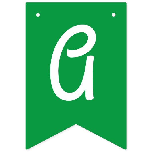 レディーバグかわいい1歳の誕生日パーティー バンティングフラッグ (第3の旗)