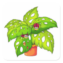 レディーバグのある植物