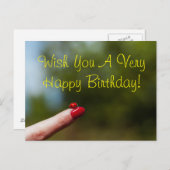 レディーバグの指のハッピーバースデーの願い ポストカード (正面/裏面)