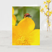 レディーバグ空白のグリーティングカード カード (黄色い花)