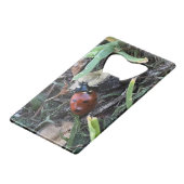 レディーバグ クレジットカード栓抜き (正面アングル)