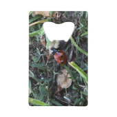 レディーバグ クレジットカード栓抜き (裏面)