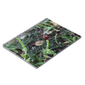 レディーバグ ノートブック (左側)